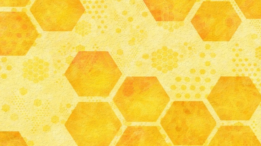 Welcome to George Griziotis